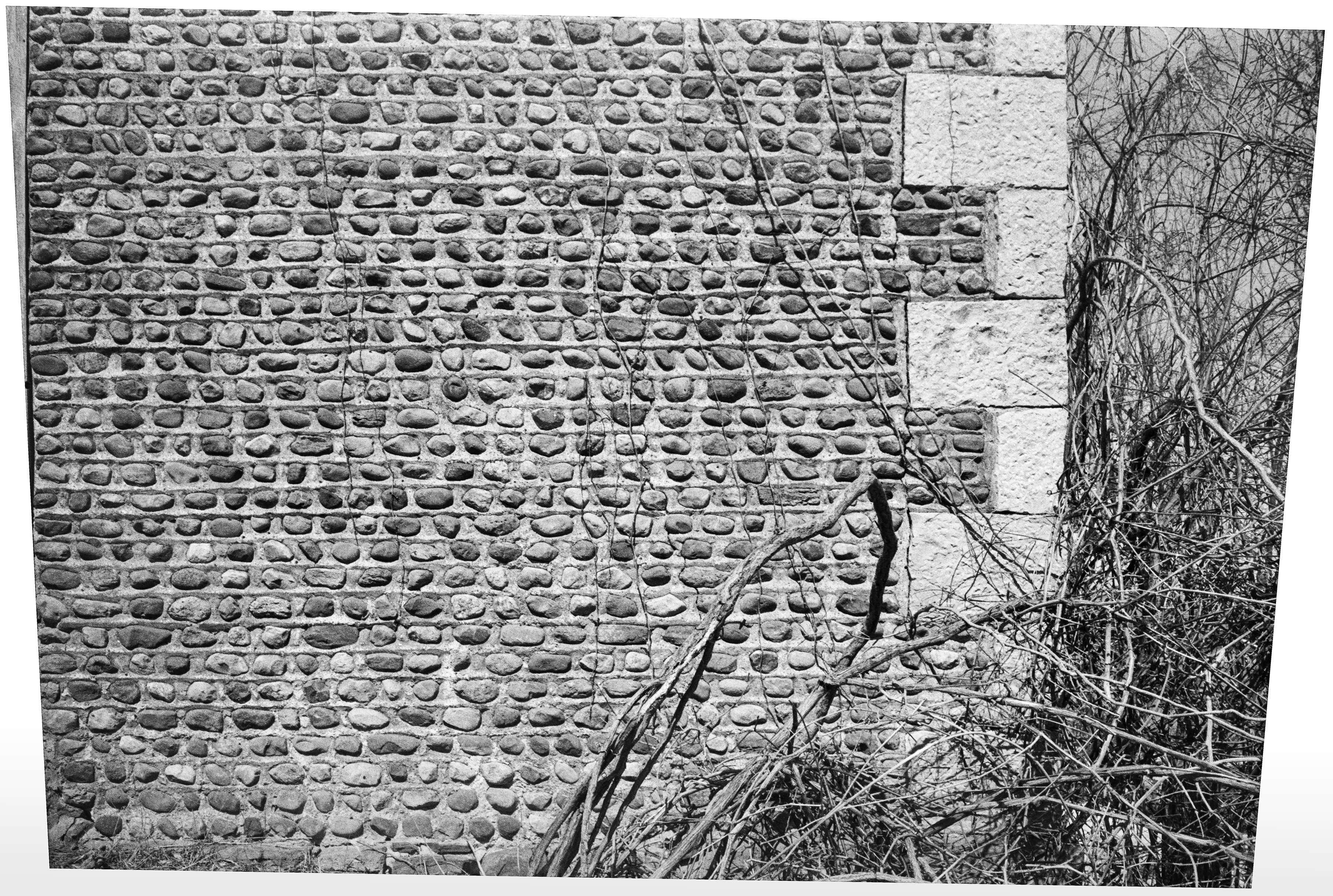 GP Seneca Tyre Tyr-4a 3-1 N